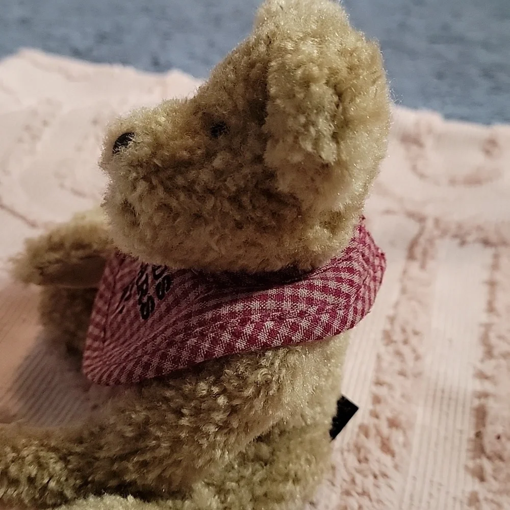 Boyds Bears stuffed bear, collectible, with movable joints. Previously loved.